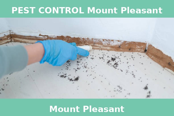 PEST CONTROL Mount Pleasant
